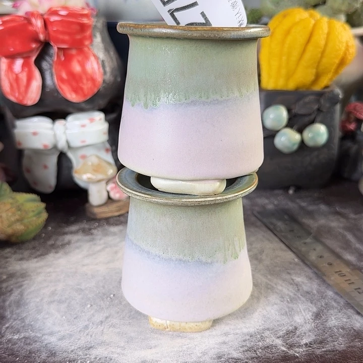 重庆小燕子欢迎大家275