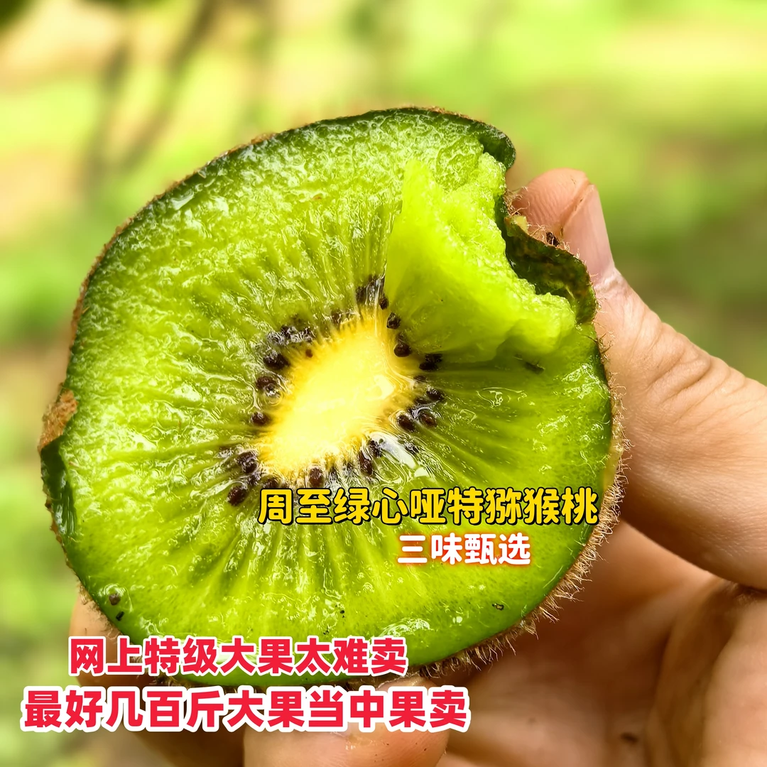 正宗陕西周至特大绿心猕猴桃当季新鲜水果自然vc树熟品质现采摘