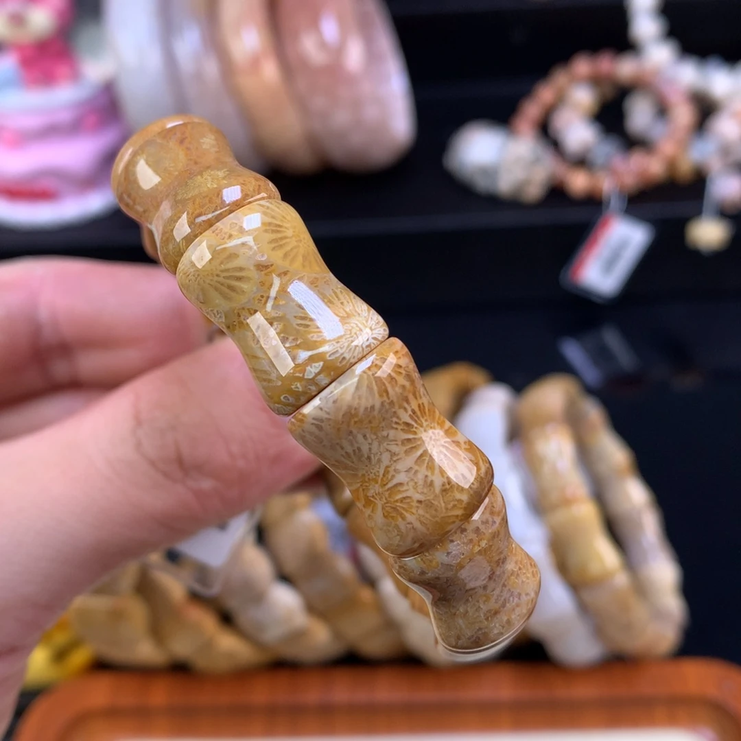 硅化珊瑚（珊瑚玉）未镶嵌颈饰91号大花花竹节