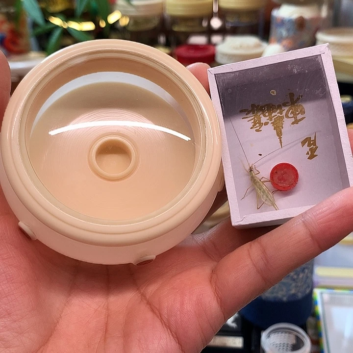 用***7带竹蛉啊啊啊啊啊啊