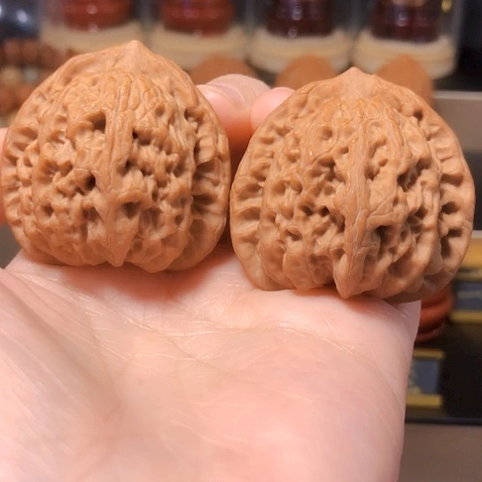 野生小众：佛肚全品