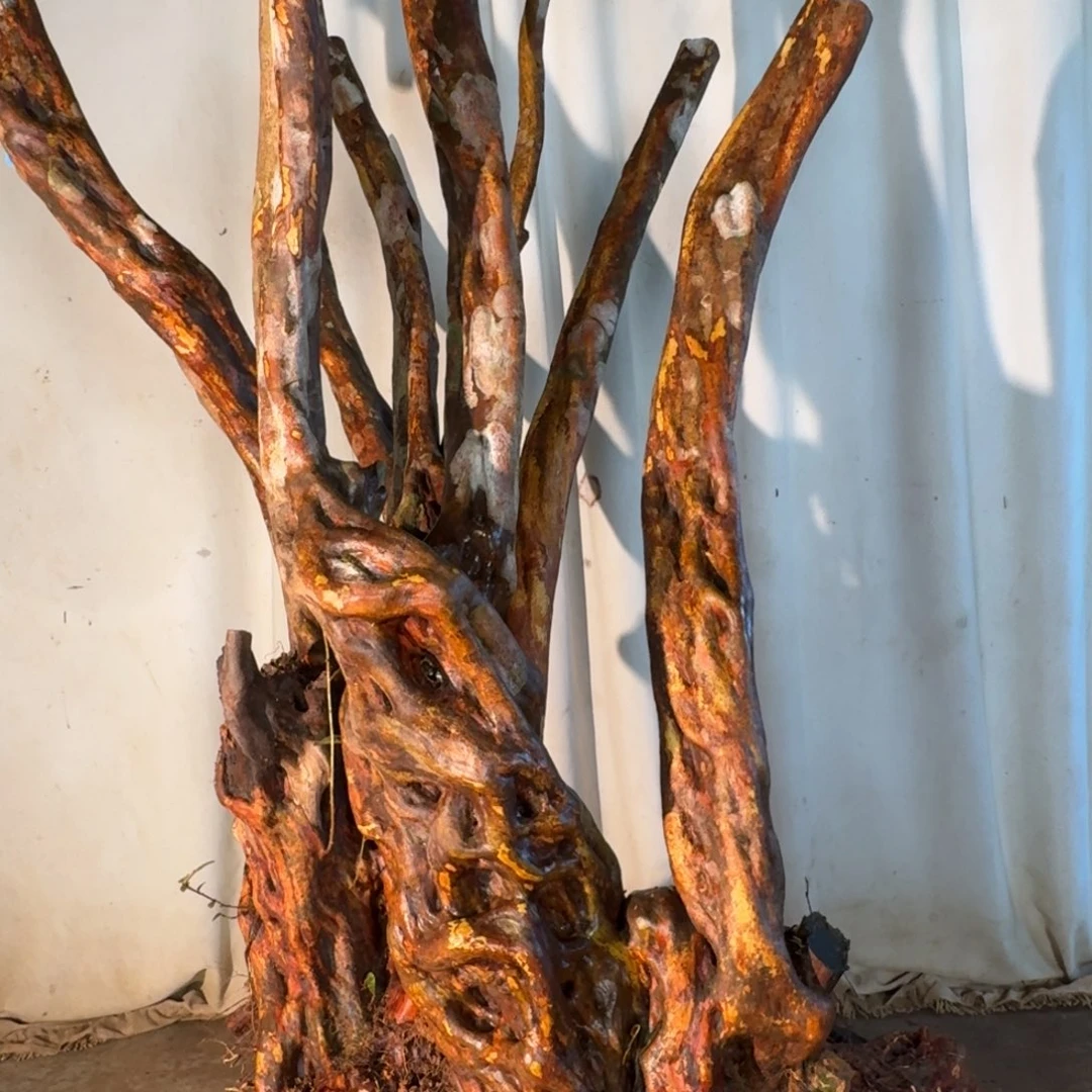 觀***乎888888888888888888