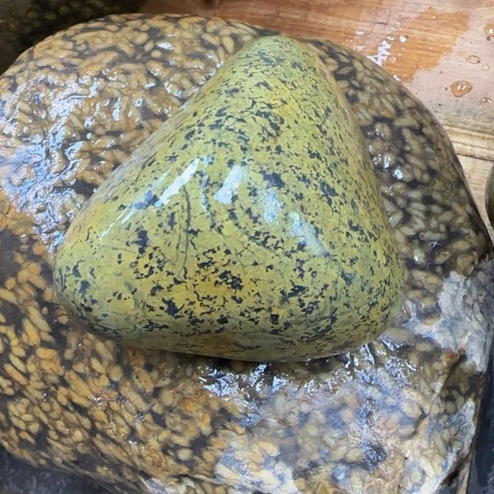 萍***色益茶堂祝你生活愉快