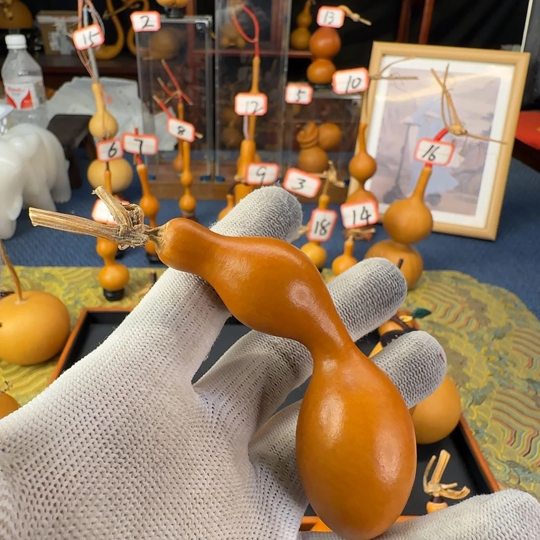 河***学葫芦葫芦葫芦葫芦葫芦葫芦葫芦