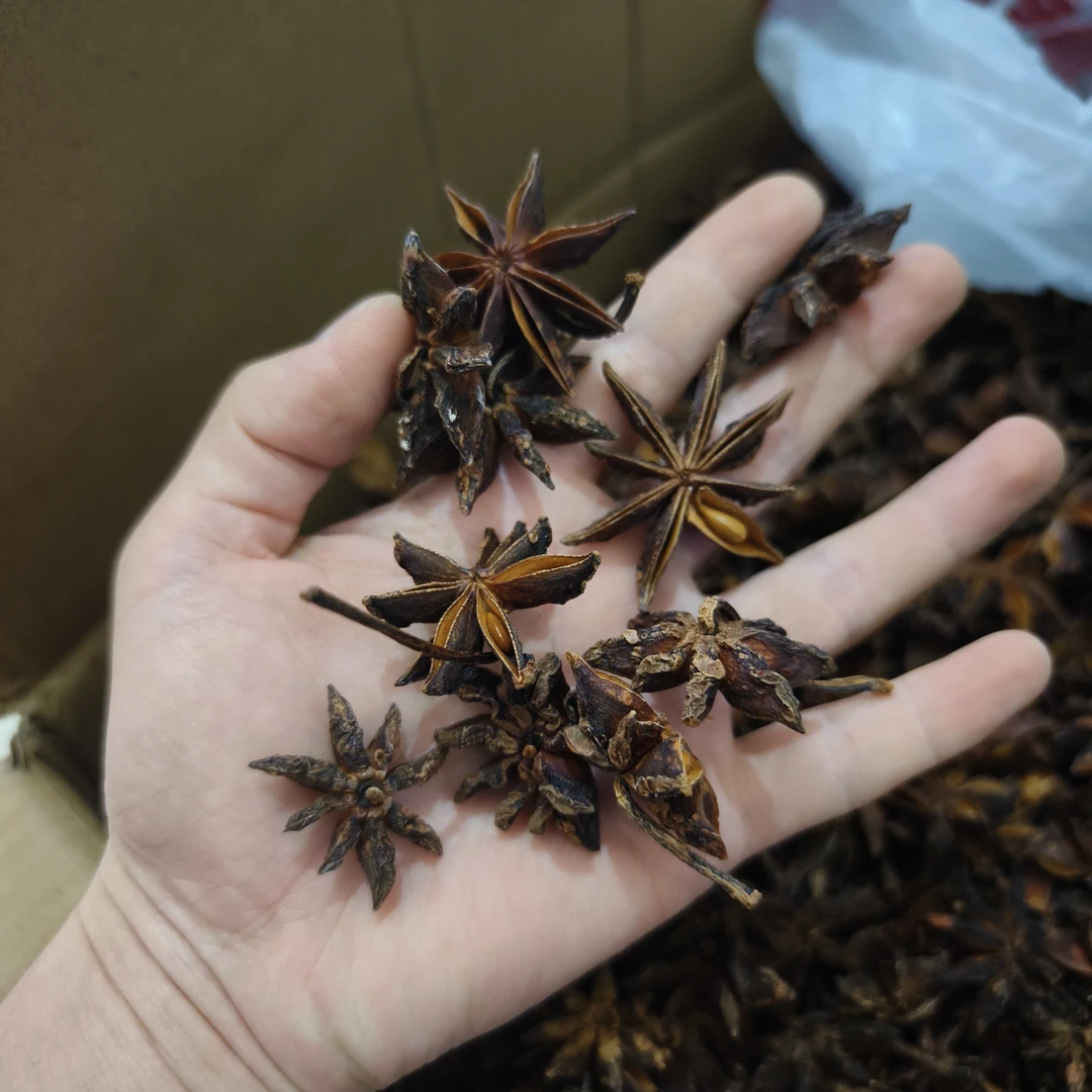 广西藤县秋季正宗大红八角无硫磺提香去腥家庭常用调料精品大八角