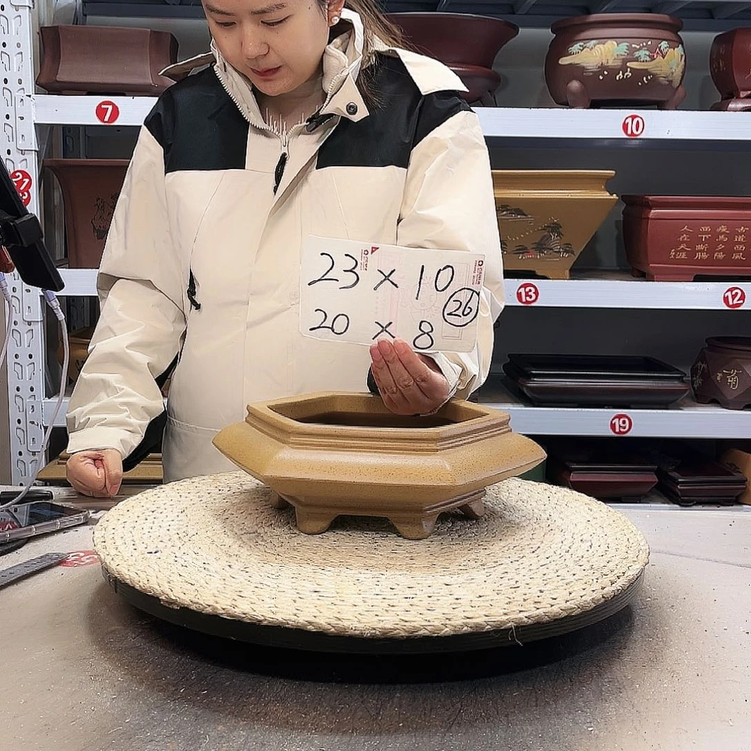 紫砂花盆紫砂花盆里放