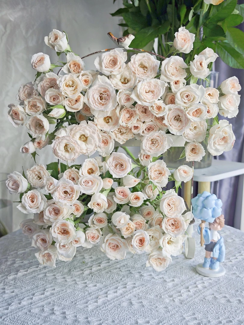 【花汀私享】婚礼进行曲-多头玫瑰鲜花（注意带包装醒花哦~）