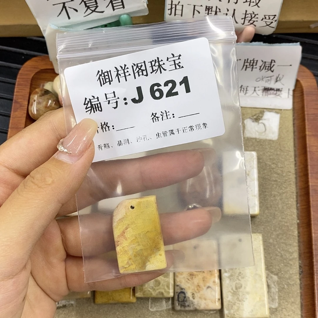 硅化珊瑚（珊瑚玉）未镶嵌颈饰宝**~