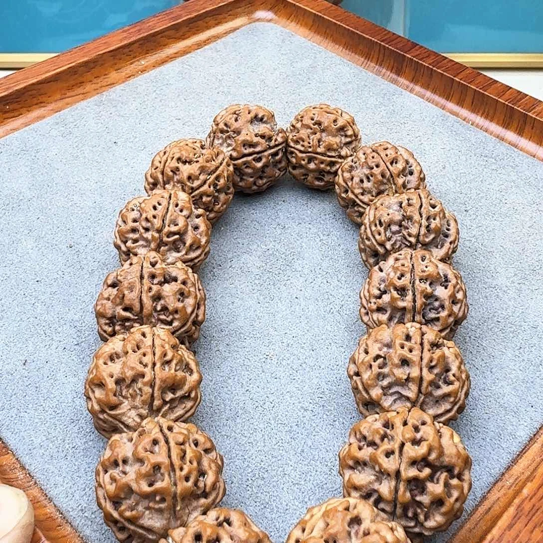 金刚菩提手串铁籽蜂窝双龙