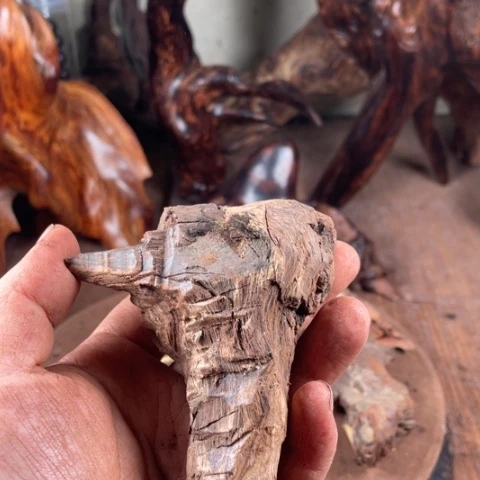 黄花梨/降香黄檀文*