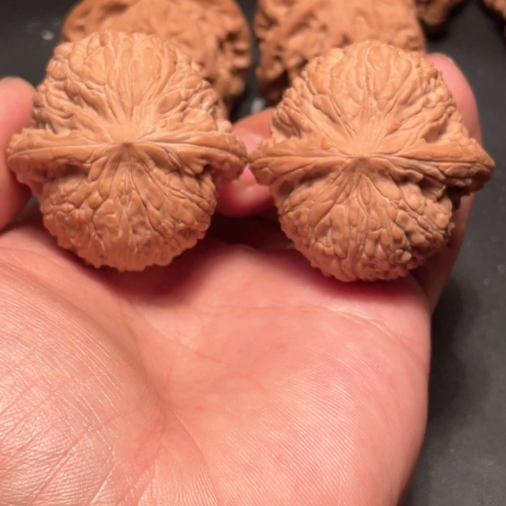 核桃41尺寸泥鳅背