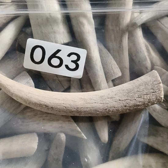 熊****鹿角鹿角鹿角鹿角鹿角鹿角