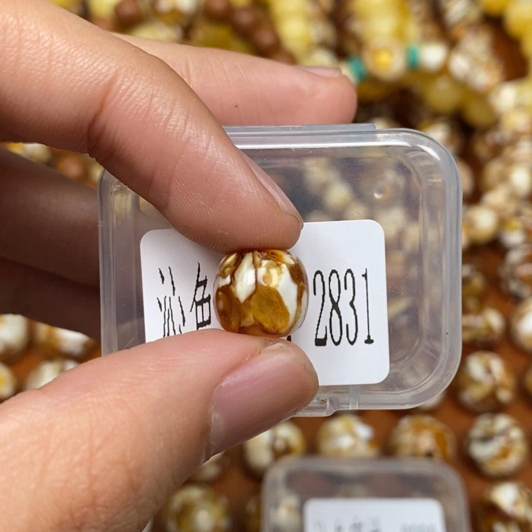 沁色蜜蜡未镶嵌2831