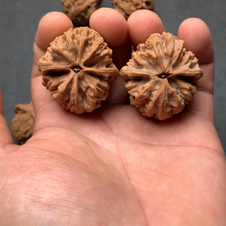 大***下吊坠文玩核桃西北将军膀文玩核桃