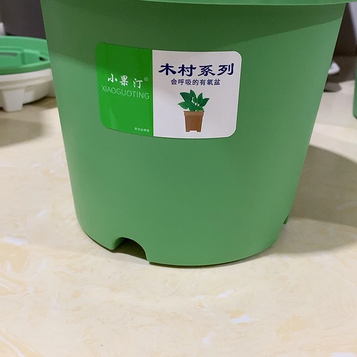 小果汀21绿5个无托