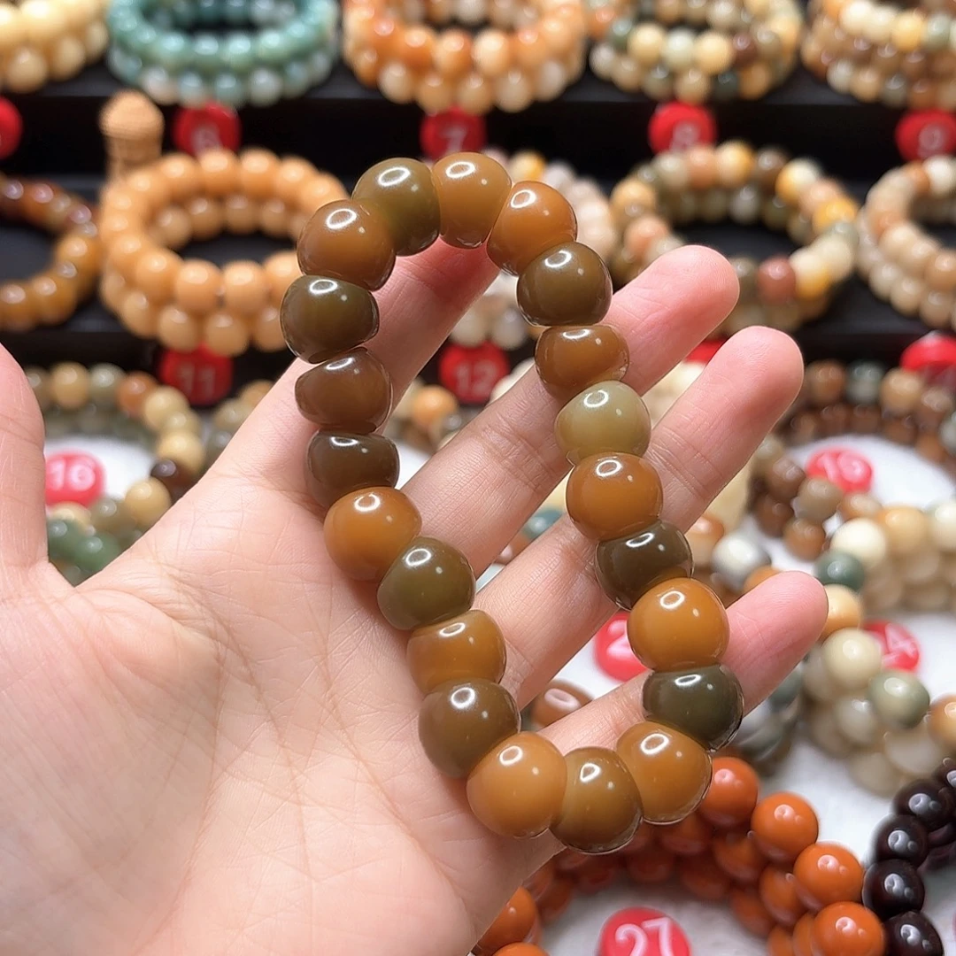 菩提根/象牙果手串大肠