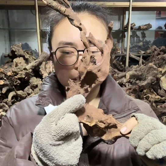 香榧木云*火琉璃的故事毛料百家姓