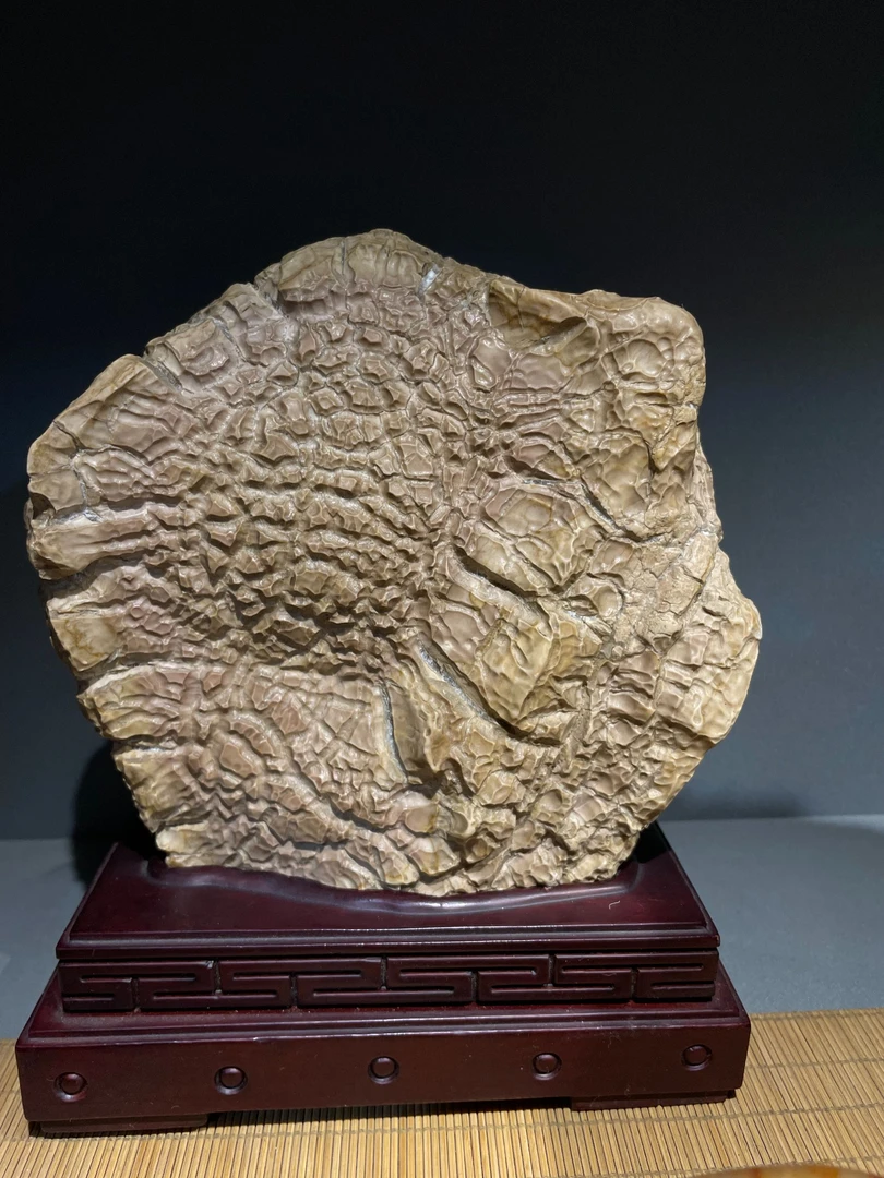 新疆戈壁天然原石盆景奇石观赏摆件