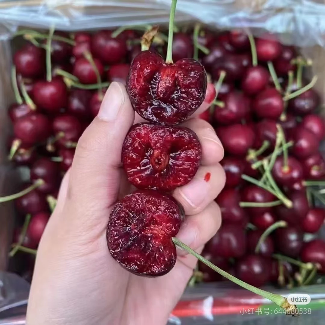 【雪松甄选】，智利海运纯冰车厘子JD 2JD 3JD，净重5斤  内附果径卡