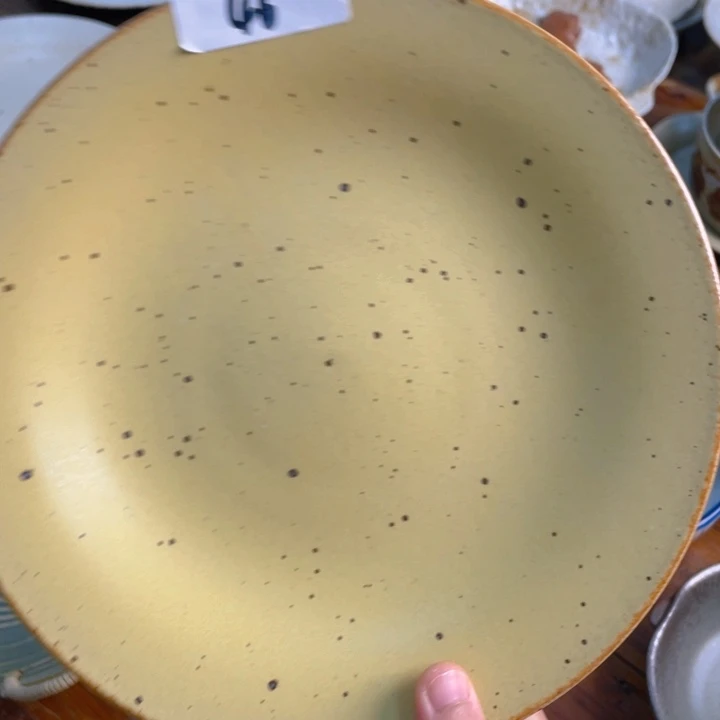 景德镇陶瓷学院等单位的专家