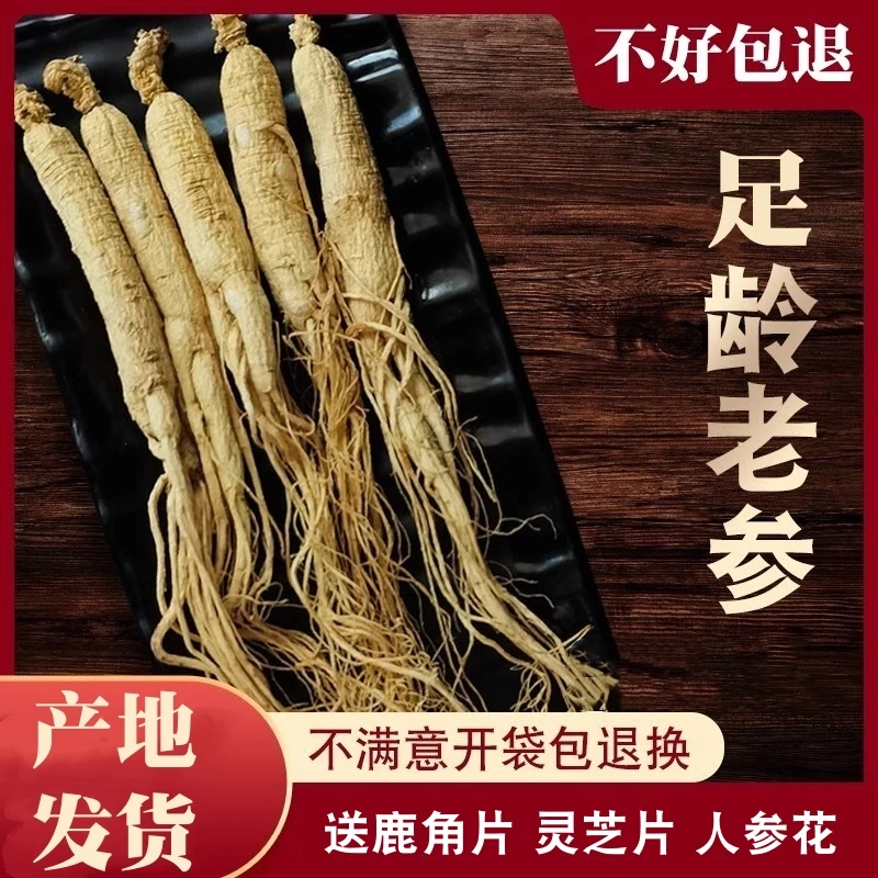 整支生晒参东北人参吉林长白山脉参新鲜白参干人参可切片