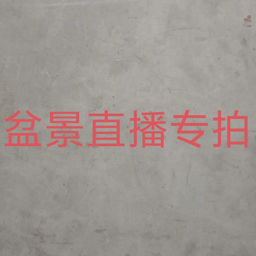 绿植盆栽盆景直播