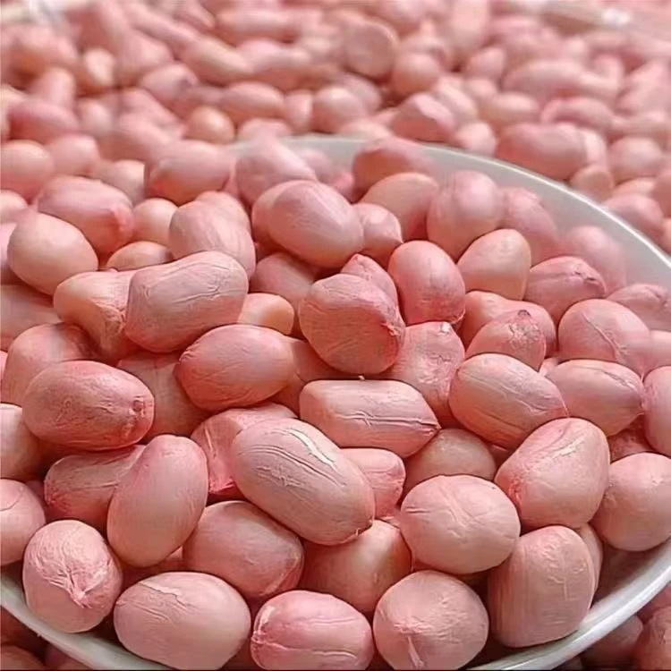 5斤装精选农家生花生米新鲜菜食用榨油新去壳河南大颗粒花生米3斤