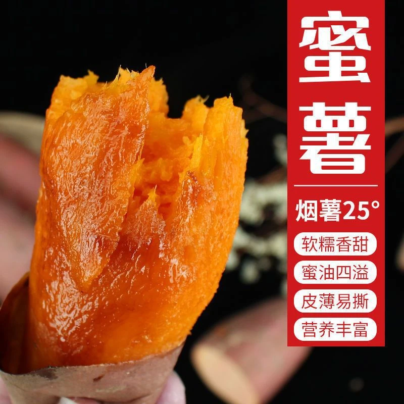 【限购1人1单】山东烟薯25号新鲜糖心蜜薯软糯香甜可蒸煮烤沙地现挖