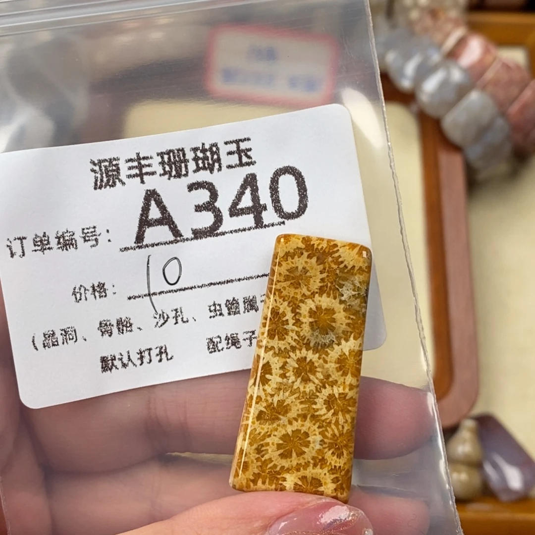 大***行硅化玉未镶嵌颈饰