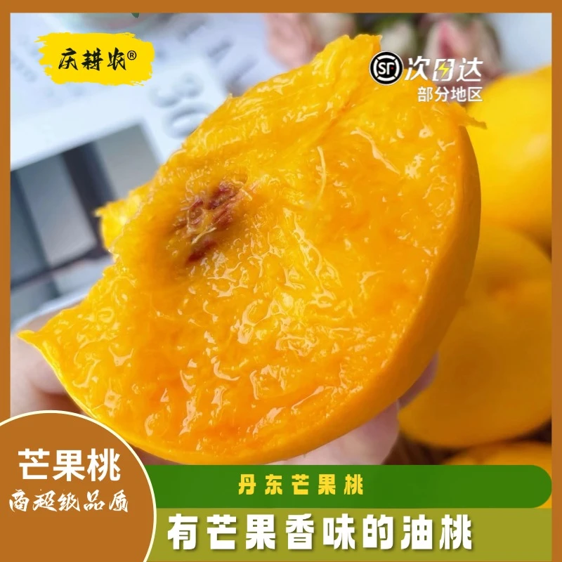 【顺丰包邮】辽宁水果黄金蜜桃黄油桃芒果小2.9-4.5斤新鲜果园