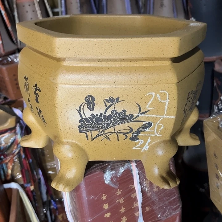 周深周深周深周深
