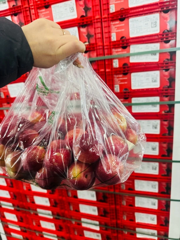 樱桃李子4J净5斤