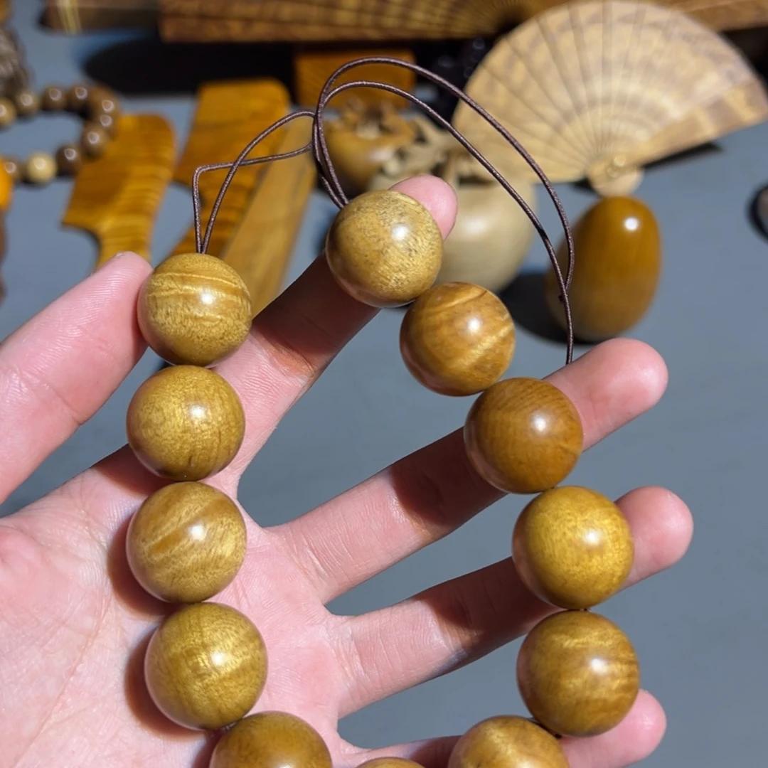 金丝楠金丝楠小叶桢楠