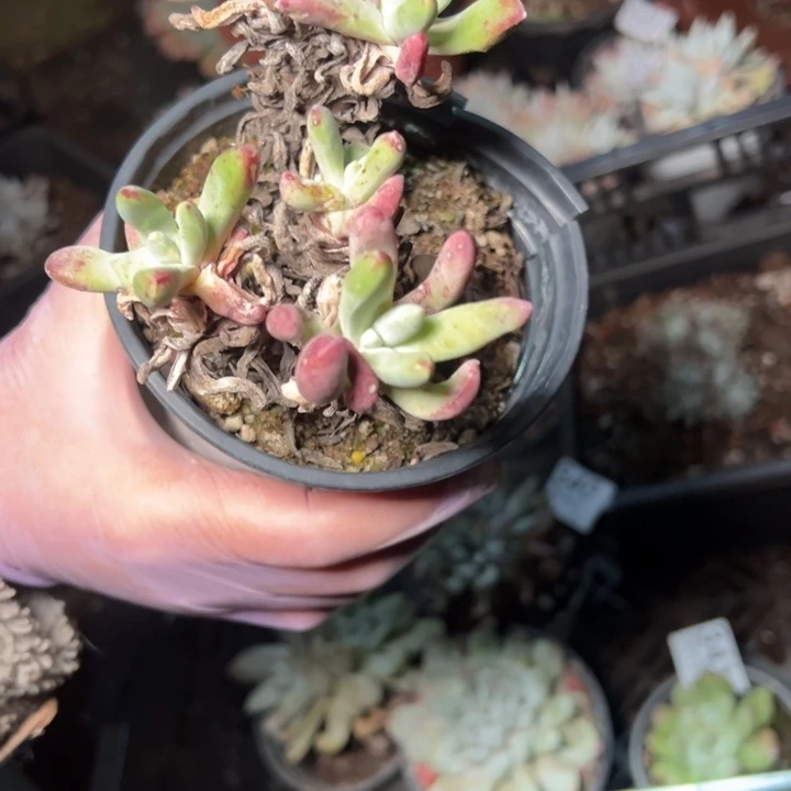 342哈哈哈哈哈哈哈哈