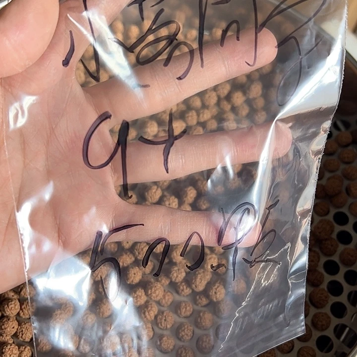 金刚菩提手串小***?500颗梅花