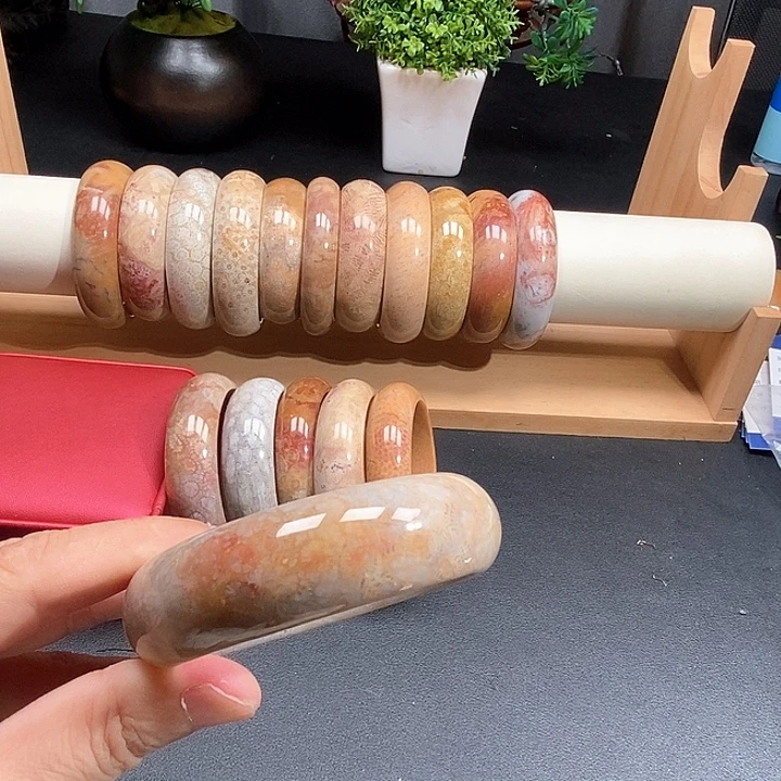 硅化珊瑚（珊瑚玉）未镶嵌颈饰