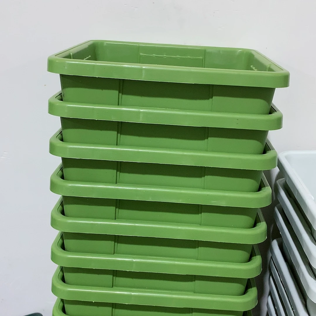 树脂方口19果绿5个无托