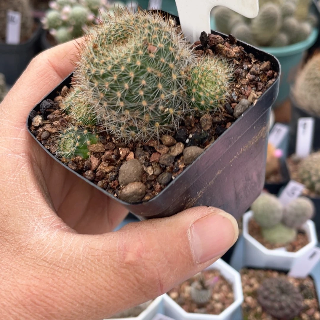 小*点19 14往事随心随意搭配要点