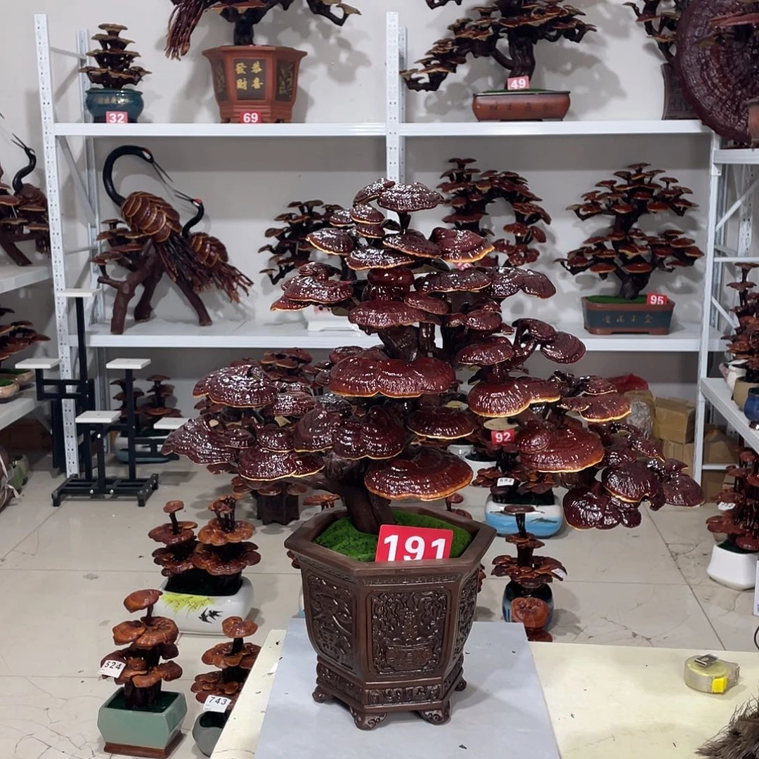 无花朵888888888888888