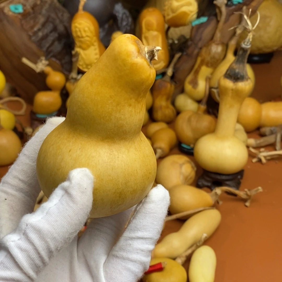 尼***丁教练教练咯教练咯哥哥