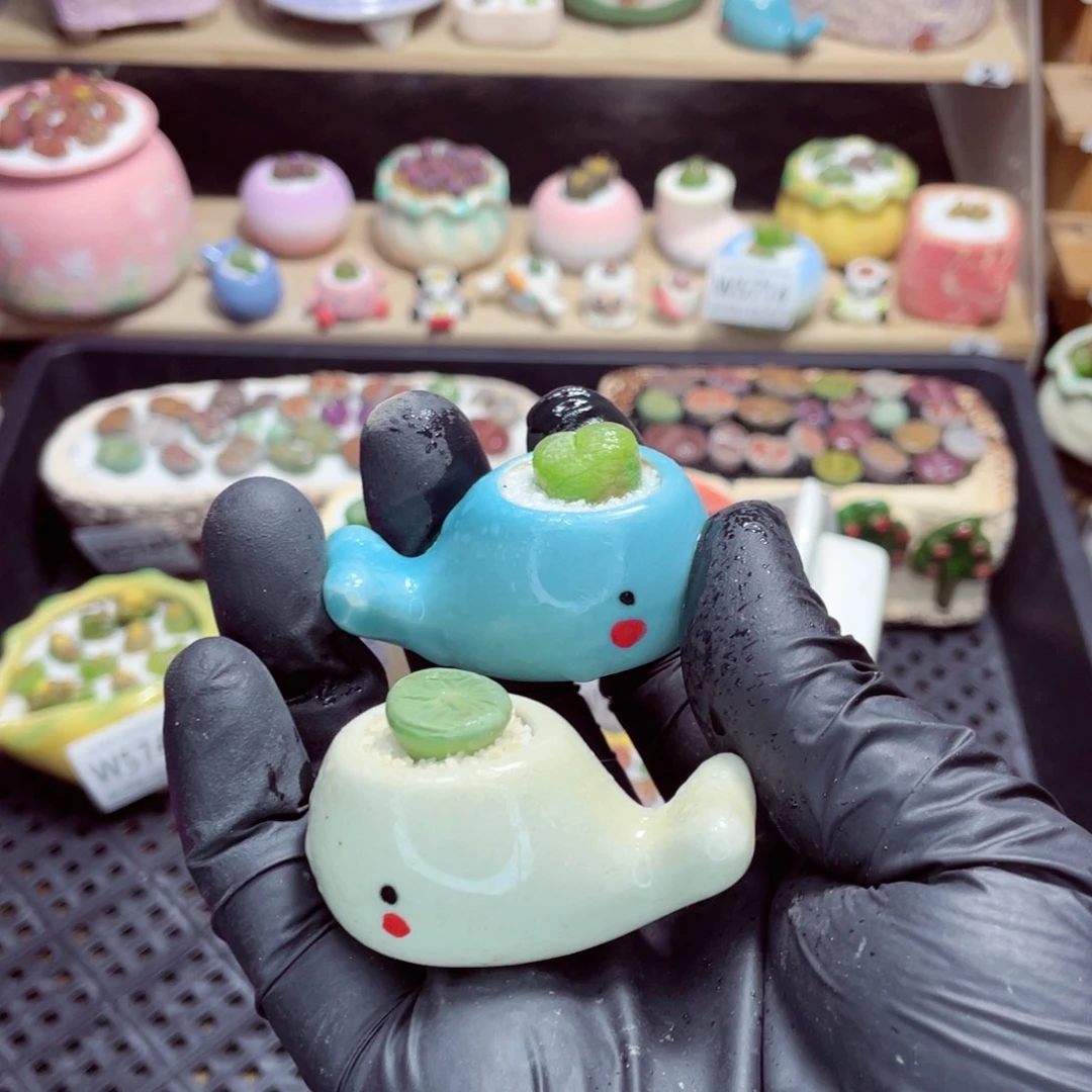 夜间零下地区拍保温箱w5713