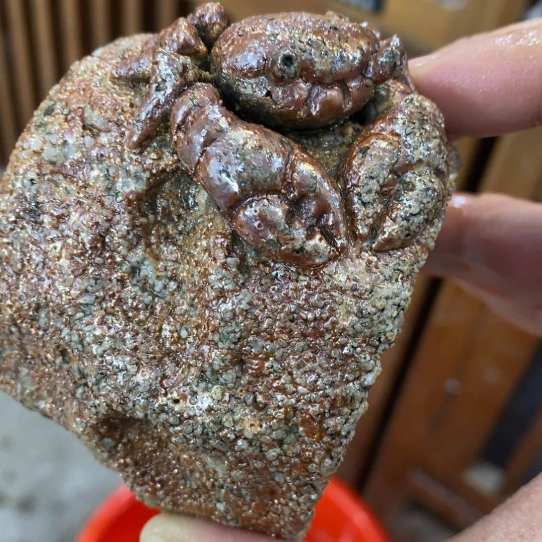 陶园柴烧 精品高货147