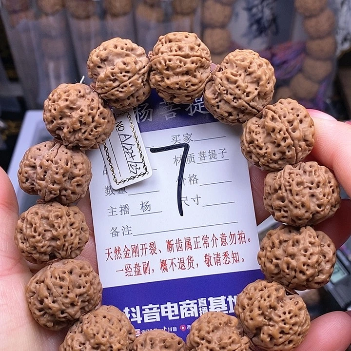 金刚菩提手串22.5/23铁骨梅花