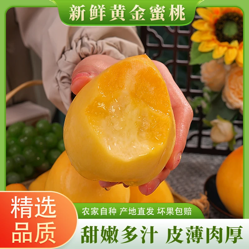 【顺丰】新鲜黄金蜜桃头茬应季水果河北蜜桃甜嫩多汁现摘现发2斤起