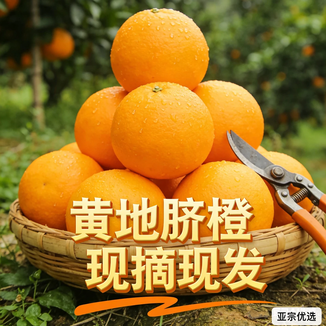 福建黄地脐橙无籽脐橙美国脐橙新鲜当季水果香甜多汁