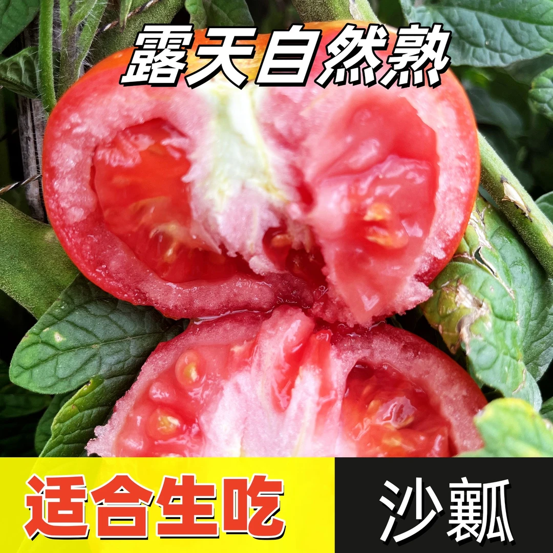 5斤装 云南露天沙瓤番茄鲜甜多汁现摘现发