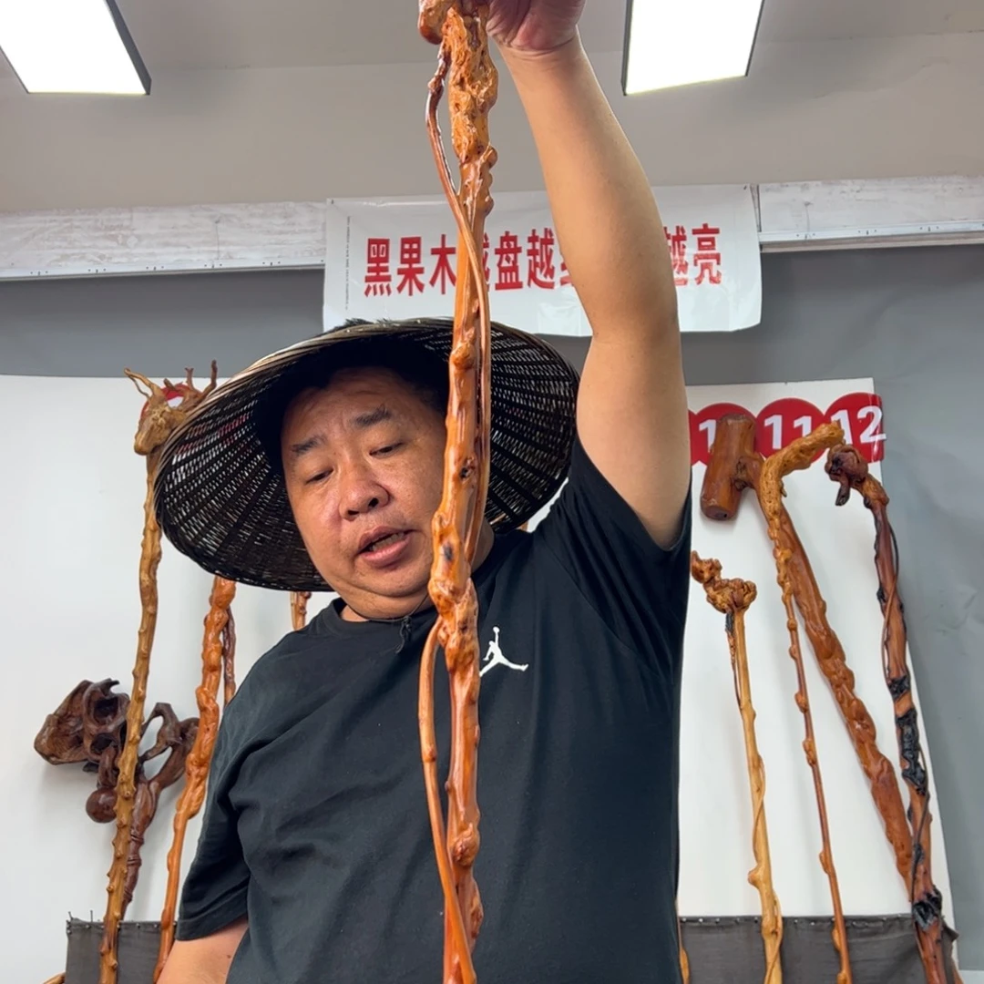 独***者黑果木其他黑果木855