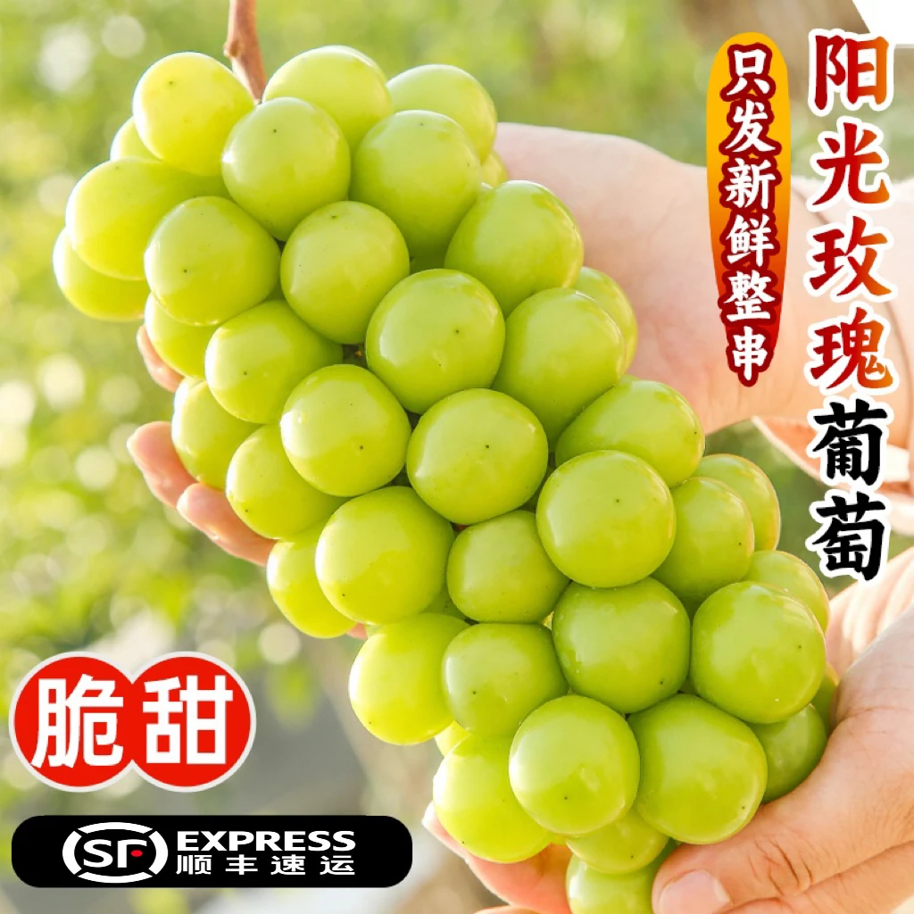 【顺丰】四川新鲜阳光玫瑰葡萄大颗粒饱满无籽肉厚果园种植直发包邮