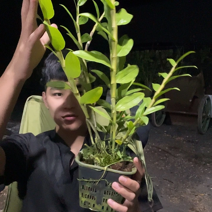 爱***。完全开放无需多言