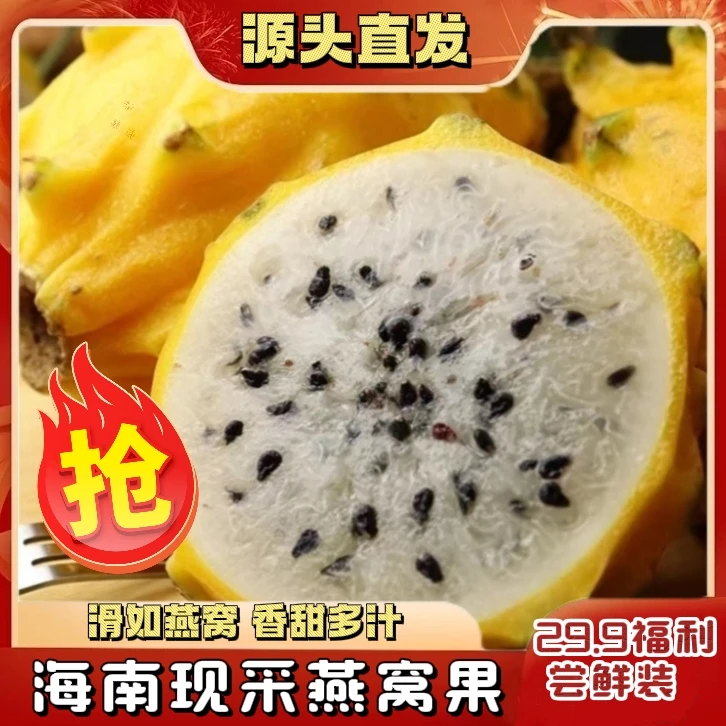【张总补贴】福利尝鲜装海南正宗燕窝果